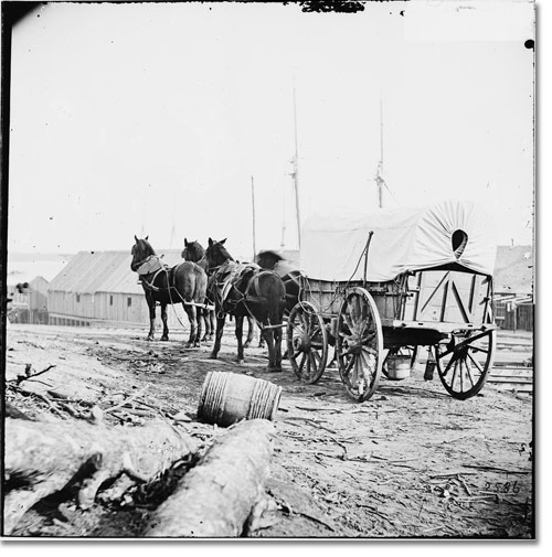 Steamship “Elm City,” A Civil War Work Horse
