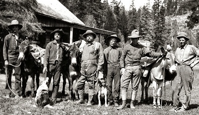 Dogs of Teddy Roosevelt
