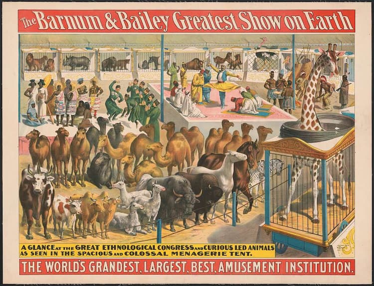 circus poster