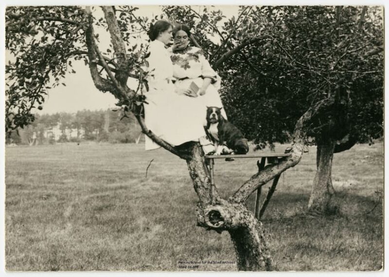 Helen Keller with her teacher, Annie Sullivan, sitting on a big tree branch. Her dog, Phiz, sits on the platform, too.